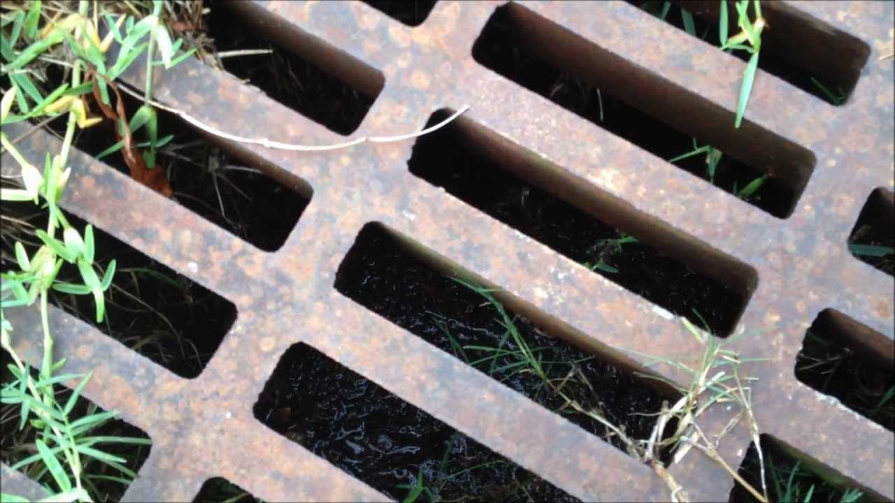 Strange Storm Drain Noise