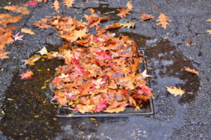 Road gully blocked with autumn leaves and standing water beside a kerb