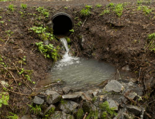 Culvert inspections: why they matter for access routes and rural land